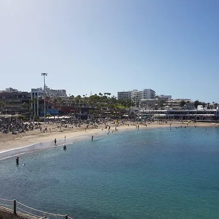Borinquen With Heated Pool, Only 280 Meters To The Beach, Wifi * Playa de las Americas (Tenerife)